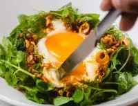 ELEM - Global restaurant in Vancouver – fine dining dishes, interior photos, and ambiance.