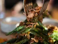 Zarak by Afghan Kitchen - Middle Eastern restaurant in Vancouver – fine dining dishes, interior photos, and ambiance.
