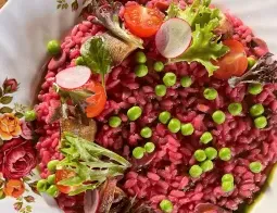 Alibi Room - North American restaurant in Downtown Vancouver – fine dining dishes, interior photos, and ambiance.