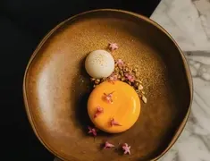 ELEM - Global restaurant in Vancouver – fine dining dishes, interior photos, and ambiance.