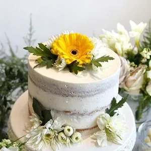 Edible Flours - restaurant in Vancouver – fine dining dishes, interior photos, and ambiance. - Photo 1
