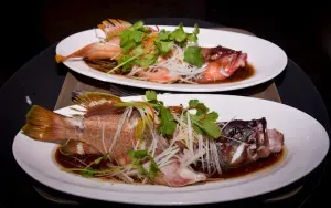 TAOTAOJU - restaurant in Vancouver – fine dining dishes, interior photos, and ambiance. - Photo 1