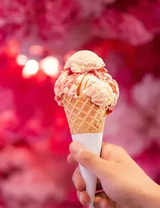 Picture of dish Strawberry Banana Gelato at Ricardo's Granville
