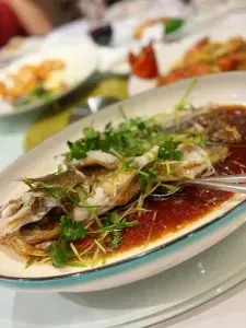 Picture of dish Steamed Rock Cod at Shun Feng Seafood Restaurant